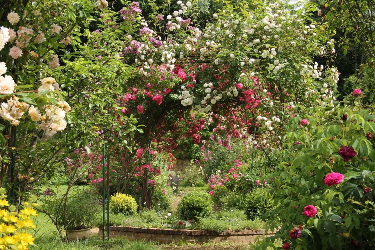 Domaine Des Roches Blanches Villa Le Pin  Exterior photo