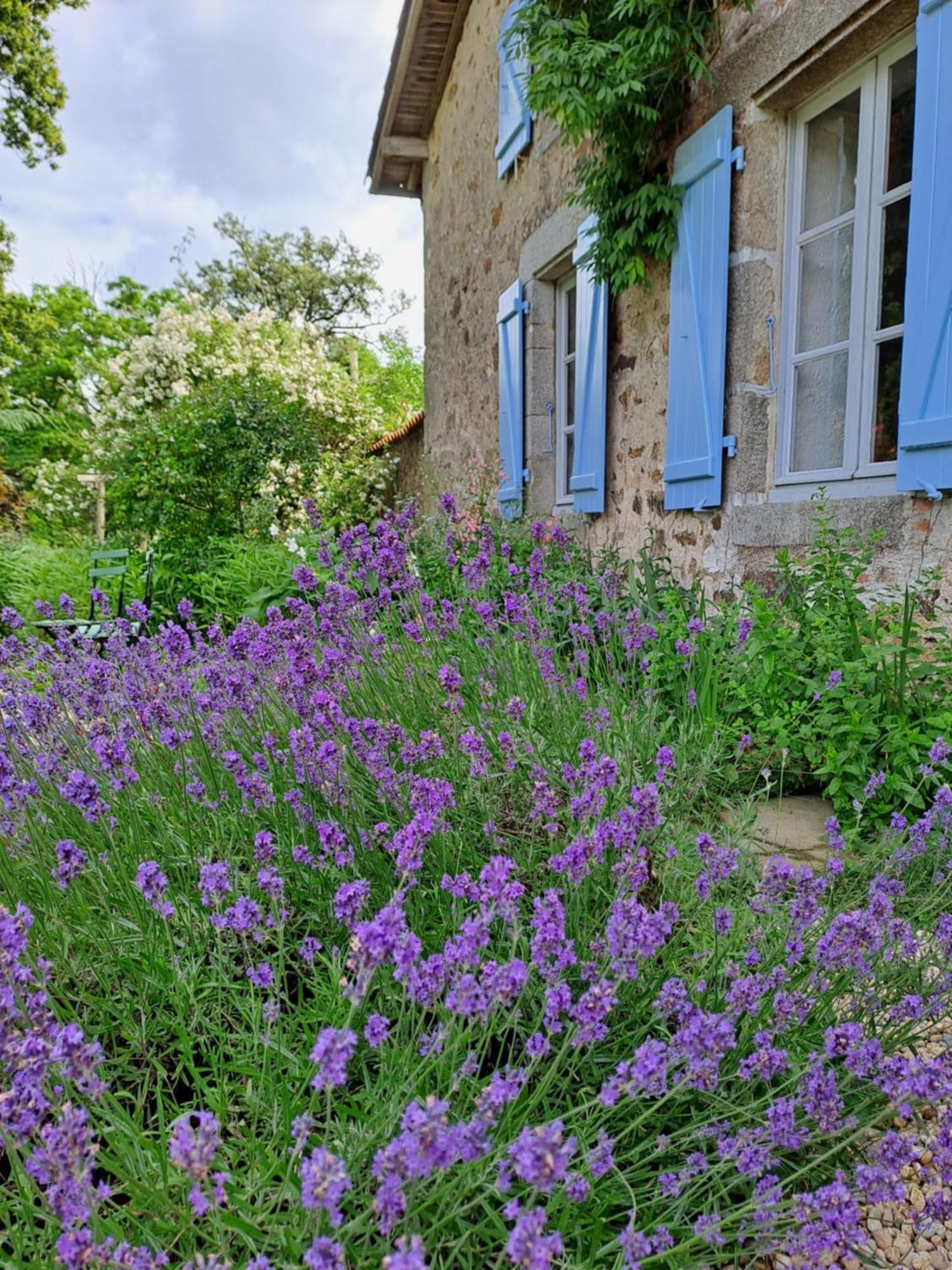 Domaine Des Roches Blanches Villa Le Pin  Exterior photo